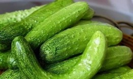 今日吃瓜每日大赛 吃瓜爆料短剧吃瓜爆料大赛每日聚集地,揭秘“今日吃瓜每日大赛”的火爆短剧爆料现场